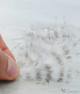 feather for feathered bird ornaments