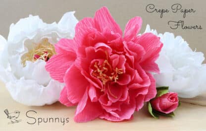 Krepppapier Blumen rosa weiße Pfingstrosen Spunnys